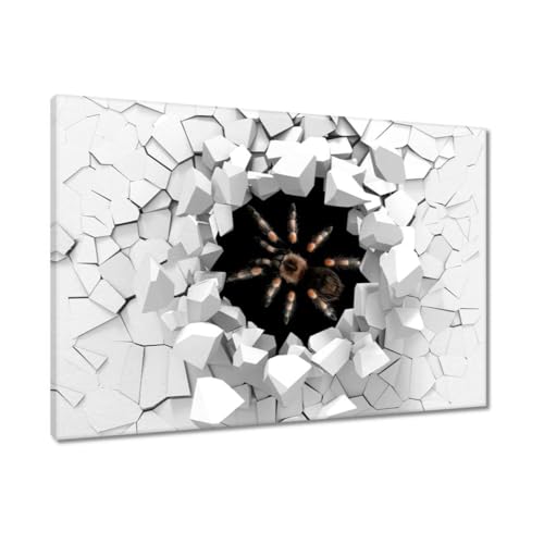 Araignée tarentule tableau toile 120x80 cm : Dites adieu aux murs blancs H9868Z