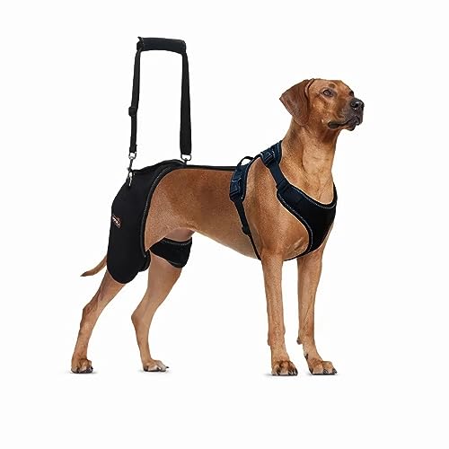 Best Supplement For Luxating Patella 2024 Vet Ranch We Love Pets