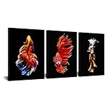 Wallall 3pcs Colorful Betta Fish Wall Art Siamese Fighting Fish on Black Background Prints Modern...