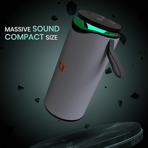 Image of MAKPOWER BEAT Box 10W Bluetooth Speaker - Wireless, Portable, Premium Bass, 4 Hours Playtime, Built-in Mic, TF /USB Support - Perfect for Outdoor, Home, Travel & Parties (Gray)