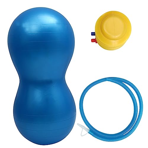 BESPORTBLE Palla Da Fitness in Pvc Anti-scoppio Spessa 45x90 Cm Per Esercizi Yoga e Pilates Set Con Pompa Per Allenamento Stabilità e Tonificazione Muscolare Casa e Fisioterapia