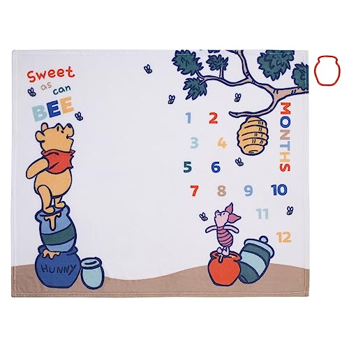 Image of NoJo Disney Winnie The Pooh White, Blue, and Yellow Sweet As Can Bee Super Soft Photo Op Milestone Baby Blanket
