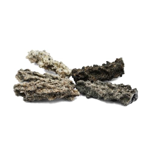 Image of Starborn Fulgurite Specimen (X-Large) 6-7 cm