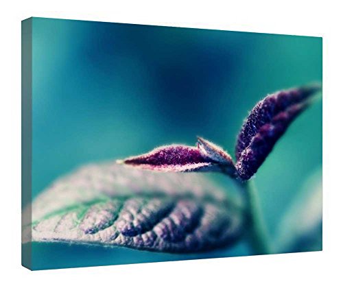 Tableau bois violet matin bleu : impression sur toile d'art durable