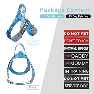 Service dog harness no pull dog harness with handle adjustable velcro patches service dog in training do not pet easy control for small medium large breed outdoor walking hiking blue l   cucciolini doodles