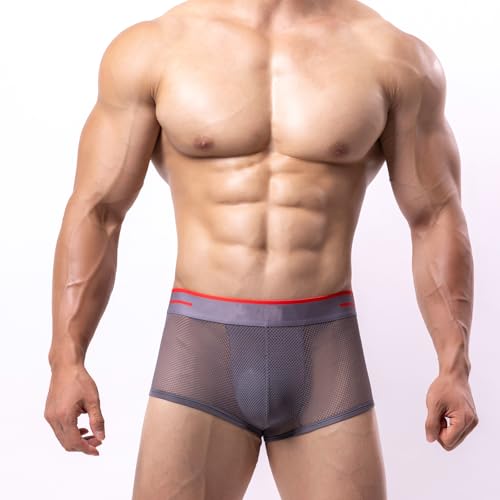 Men Mesh Boxer Briefs Sexy See Through Underwear Breathable Trunks Lingerie Wide Waistband