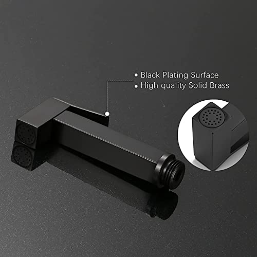 Kit pulvérisateur bidet à toilettes murales anti-fuite laiton noir