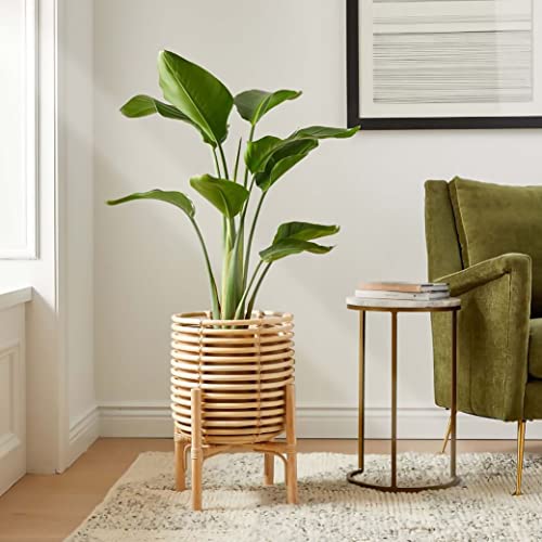 Image of handmade Plant Stand| Flower Pot Stand for Living Room | Indoor Plant stand| Plant Holder (Rattan)(20 Inches (H) x 14.5 Inches (W) x 14.5 Inches