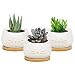 Koolkatkoo 3.2 Inch Cute Cat Ceramic Succulent Planter Pots with Removable Saucer Unique Cactus Planters Porcelain Decorative Flower Pot for Cat Lovers Set of 3 White