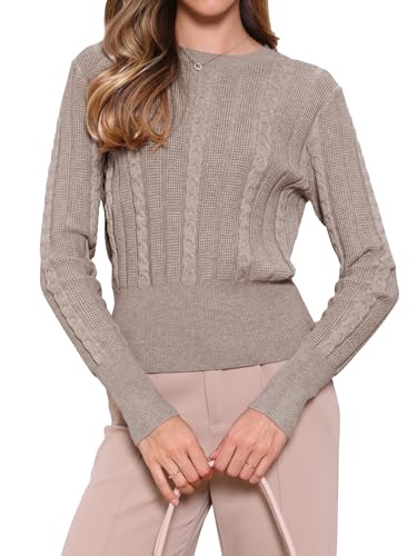 Allegra K Cable Knit Sweater for Women's Long Sleeve Tops Crew Neck Pullover Tops Casual Fall Outfits