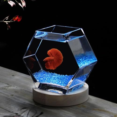 AOBOPOZp` KX  + ؐCg  _JEۃeEEk͔|p