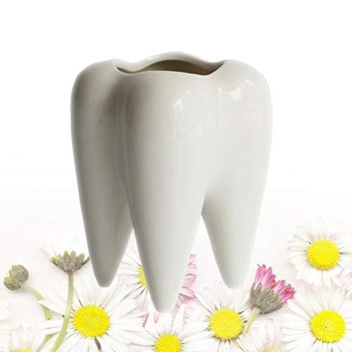 Yardwe – Vaso de cerâmica para decoração prática e exclusiva em forma de dente para decoração de cas