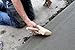 Marshalltown Masonry Brush 6 1/2 x 1 3/4 Inch, Tampico Fiber, Made in The USA, 829