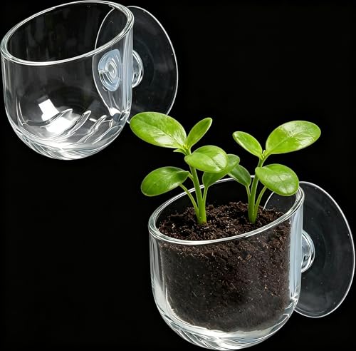 Fampery 2-Pack Aquarium Plant Holder w/Suction Cup - Acrylic Top Hanging Fish Tank Plant Holder for Aquascape Decoration - Planter Pot for Water Feature Decoration,Betta Tank Accessories