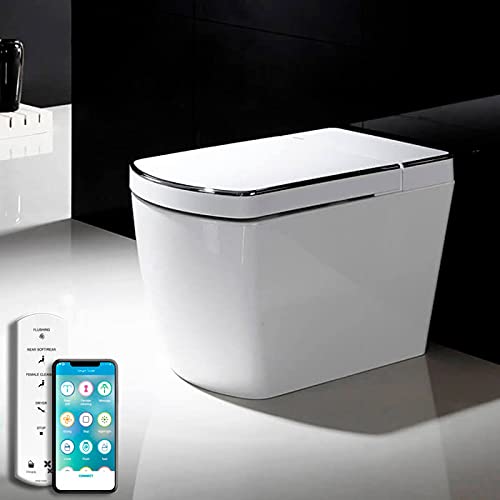 Inodoro japonés VOGO SL620 (Salida a suelo) Cover