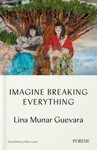 Imagine Breaking Everything