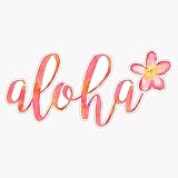 Aloha Hawaii Plumeria Watercolor Floral Bumper Sticker Vinyl Decal 5 inches