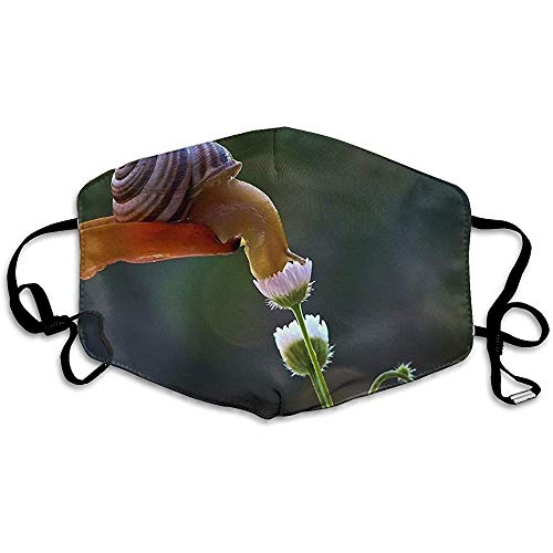 Preisvergleich Produktbild Mundmasken Schneckenmuster Unisex Anti-Staub waschbar Wiederverwendbare Mundmaske Modedesign für Mädchen Frauen Jungen Männer