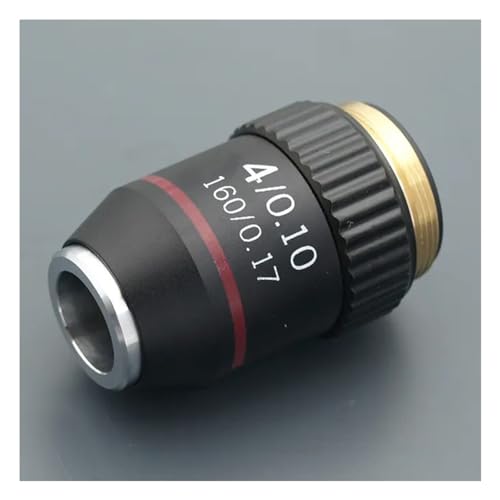 Lbg 195 ʐF 4X 10X 20X 40X 60X 100X Y RMS 20.2 ~[gi YA_v^[(4X)