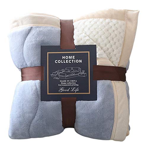 DENGHENG Winter Double Layer Microfiber Reversible Luxury Soft Cozy Fluffy Throw Blanket