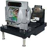 NP22LP Replacement Projector Lamp with Housing f