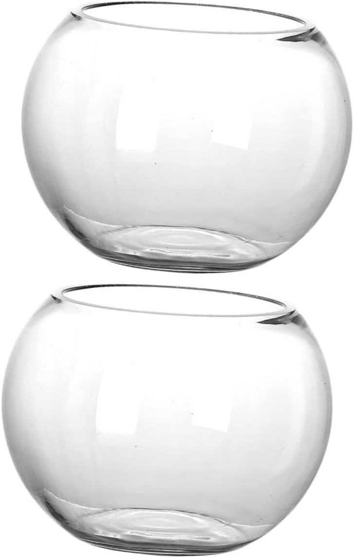 Artistic Glass Fish Tank for Succulents 2pcs Bottle Plant Landscape Home Office DIY Terrarium Decor