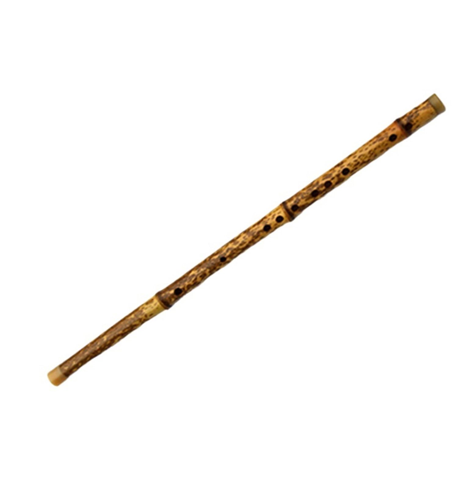 Flauto Di Bambù Esibizione Professionale Di Flauto Di Bambù Per Adulti E Musica Classica Per Principianti(E)