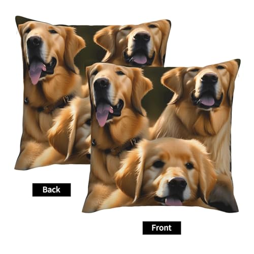 Coussin Golden Retriever : housses décoratives EdWal pour lit