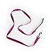 Youly Nylon Dog Leash Berry 6-ft Long 1-in Wide