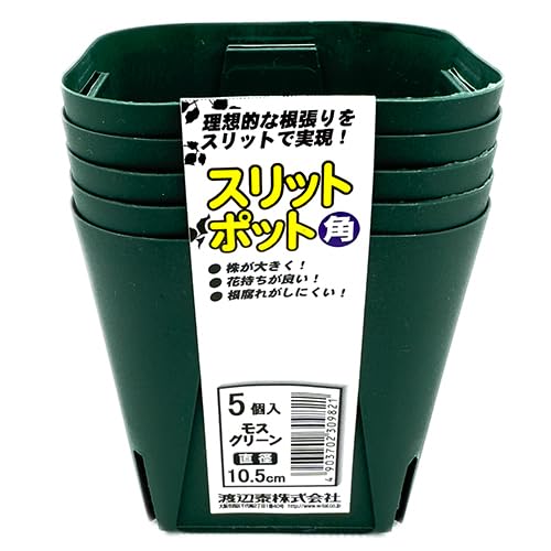 Amazon | 渡辺泰 スリットポット5個入 角 10.5cm 外寸120×底寸74×高さ
