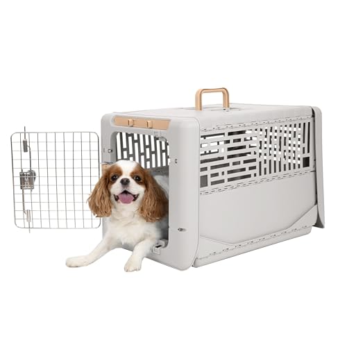 SportPet Collapsible Hard Carrier
