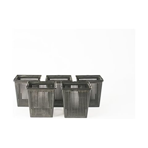 Inter Flowers GmbH Wasserpflanzenkörbe 11 x 11 cm / für Gartenteich - Geeignet für Teichpflanzen wie Seerosen / Kunststoff / Teichpflanzen / Gartenteich Cover