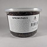E-Z Botanicals a Division of DBDPet's Premium Live Springtails 16oz Mini Culture (Collembola) - Seed Your Terrariums, Vivariums, and Paludariums with Our Vivarium Janitors