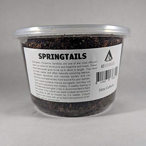 E-Z Botanicals a Division of DBDPet's Premium Live Springtails 16oz Mini Culture (Collembola) - Seed Your Terrariums, Vivariums, and Paludariums with Our Vivarium Janitors