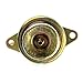 Delphi FP10049 Fuel Pressure Regulator, 2 mounting Holes