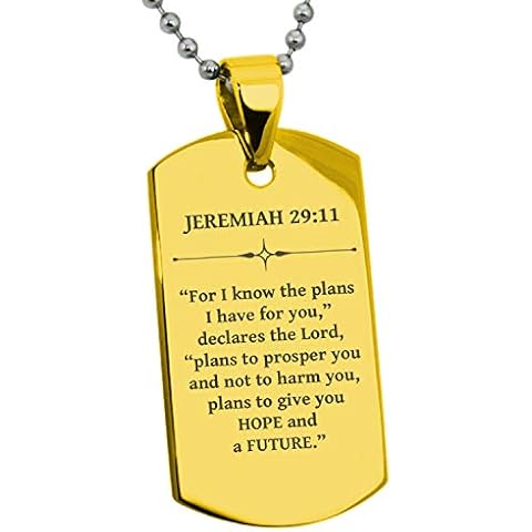 Tioneer Jewelry | Gold Plated Stainless Steel Bible Verse Dog Tag | Stainless Steel Dog Tag Necklace for Men & Women | Stainless Steel Jewelry (Hope and Future Jeremiah 29:11) Cover