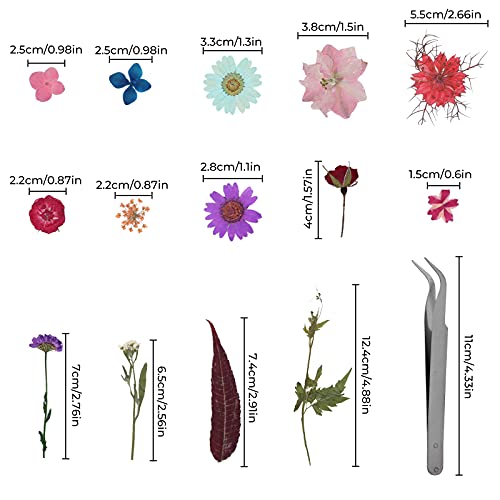 image for INNKER 84PCS Real Dried Pressed Flowers Leaves with Butterfly Transpar