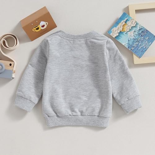Image of Baby Boy Girl Pumpkin Sweatshirt Tops Toddler Halloween Outfit Long Sleeve Crewneck Pullover Sweater Shirt Fall Clothes