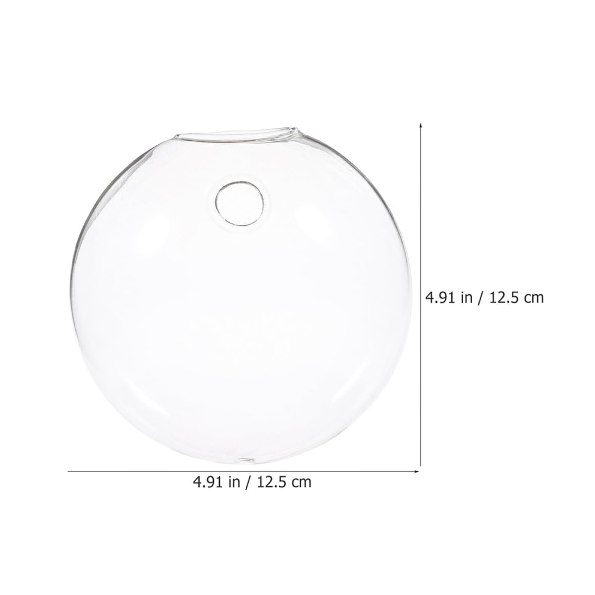 FRCOLOR Lot de 6 Vases Muraux en Verre pour Hydroponie, Pratique et Polyvalent, pour Plantes Succulentes et Petits Pots à Suspendre chez Soi ou Jardin