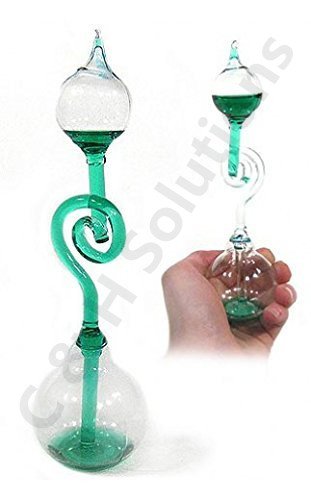 C&H Solutions Colorful Office Thinking Hand Boiler, Glass Science Energy Transfer, Children Science Experiment, Love Birds Color Meter Hand Boiler (Green)