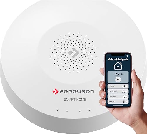 Ferguson Smart Home 2.0 Centrale ZigBee 3.0