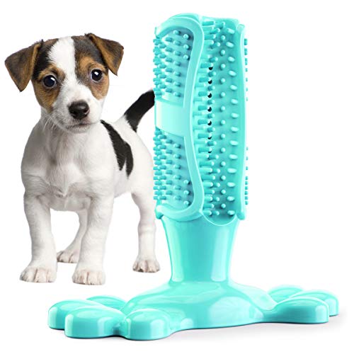 RBNANA Zahnbürsten für Hunde, sicheres Kauspielzeug für Hunde, Zahnpflege, Bissfest, ungiftig, Lebensmittelqualität, Haustier-Zahnbürstenspielzeug Cover
