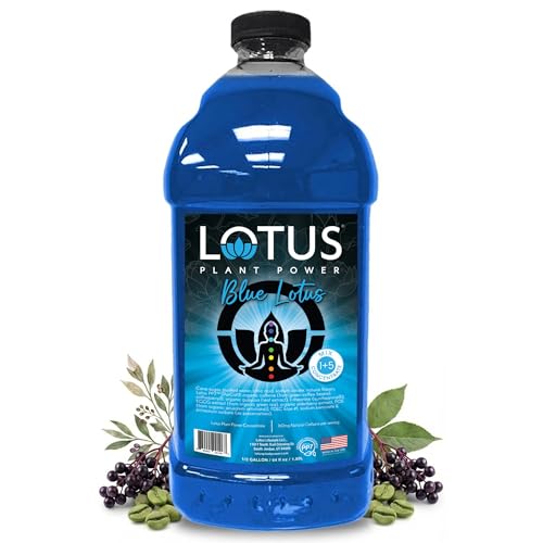 Blue Lotus Plant Power® Energy Drink Concentrate | Natural Caffeine & Pp7™ Formula | Plant-Based Organic Ingredients | Organic Cane Sugar Beverage | 1:5 Mix Makes 64 6Oz Drinks