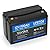 Voniko 12V 100Ah LiFePO4 Lithium Battery, 2000+ Cycles Lithium Iron Phosphate Rechargeable Battery Built-in Smart BMS, Perfect for RV, Camping, Boat, Fish Finders, Solar, and Off Grid Battery, etc