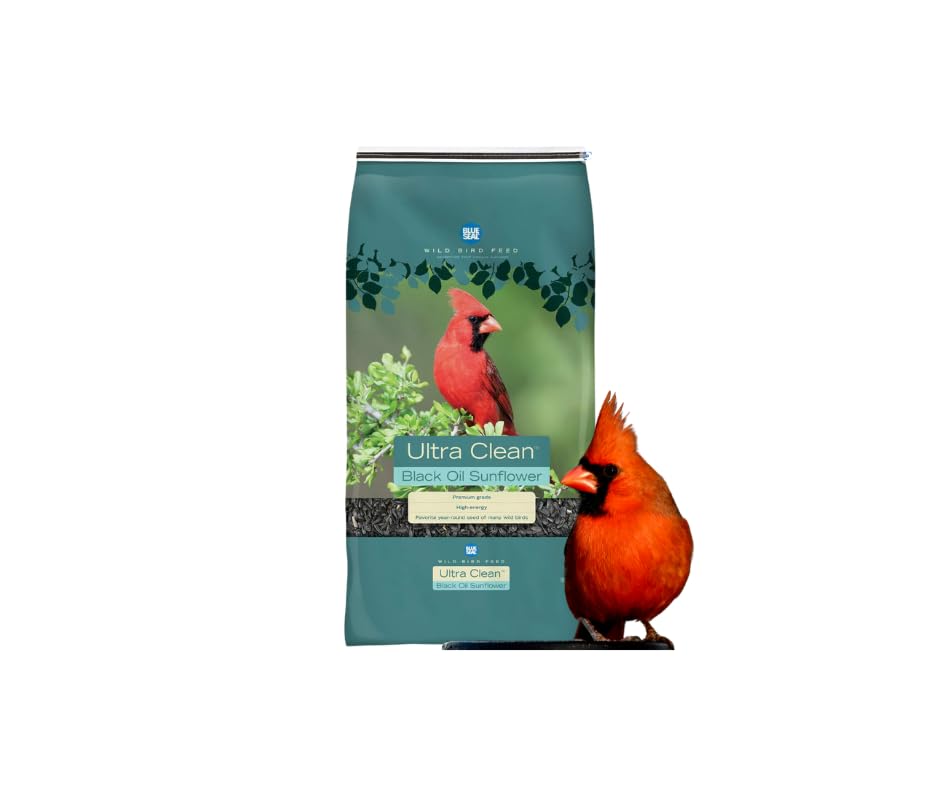 Blue Seal Premium Black Oil Sunflower Wild Bird Seed | High Protein | Attracts Cardinals, Doves, Woodpeckers and More | Seed for Outside Feeder |