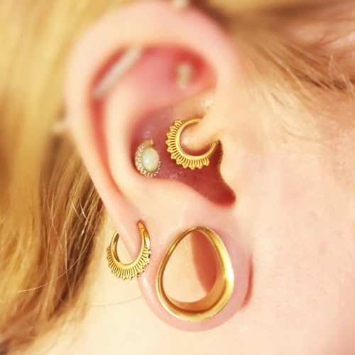 MOQIKAKA16G 8mm Floral Nose Rings Hoops, Surgical Steel Septum Rings Hoops, Hinged Segment Nose Lips Helix Cartilage Clicker Hoop Earrings for Rook Daith Tragus Piercing Rings for Women Men3