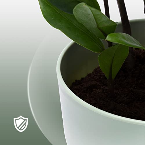 Matekxy Plastic Plant Pots Set Of 3 Packs 5.5Inch Planters With Drainage Hole And Saucer Tray Flower Pot With Multiple Drainage Holes And Trays For Home Garden, 3 Color - White, Pink And Mint Green #TOP3