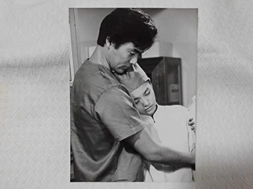 Amazon Na1 36 フジテレビ 番宣写真 熱っぽいの 南野陽子村上弘明 スケバン刑事 女優 歌手 はいからさん アイドル 芸能人グッズ 通販