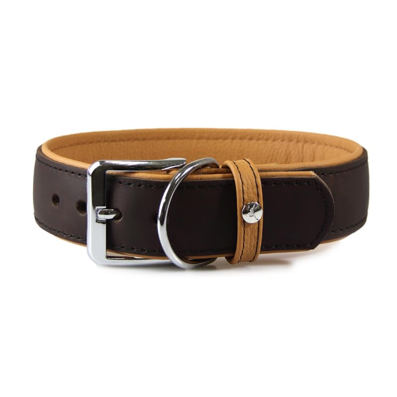 Collier pour chien Vancouver Mocca et noir 51-57 cm pour grands chiens