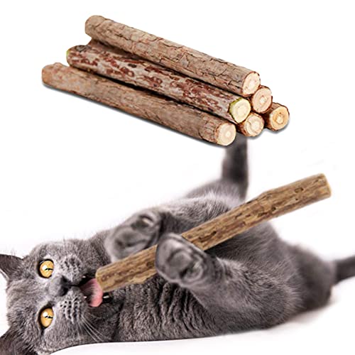 Bastoncini di erba gatta,Bastoncini da Masticare per Gatti,Giocattolo di Erba Gatta,Erba Gatta Paletti da masticare,per pratiche cure dentistiche nei gatti,contro l'alitosi,6 pezzi